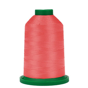1753 Strawberries N' Cream - Large 5000m Isacord Thread