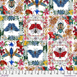 Moths & Beetles - White Moths & Beetles - White