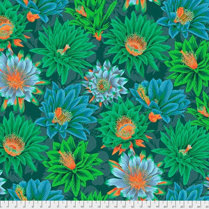 Kaffe Fassett Collective Classics Plus Cactus Flower - Green