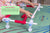 Grace Hummingbird Free Motion Hoop Pre-order Grace Hummingbird Free Motion Hoop Pre-order