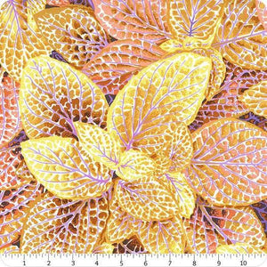 Kaffe Fassett Collective - Gold Fittonia - Meissner Sewing and Vacuum