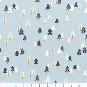 Forest Village Spruce Forest Sky