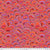 Kaffe Fassett Collective - Red Wobble Kaffe Fassett Collective - Red Wobble