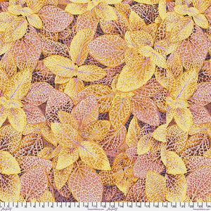 Kaffe Fassett Collective - Gold Fittonia - Meissner Sewing and Vacuum
