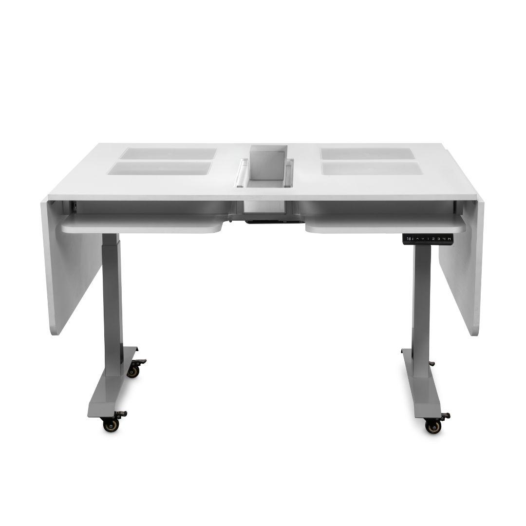 Bernina Q20 with Bernina Lift Table