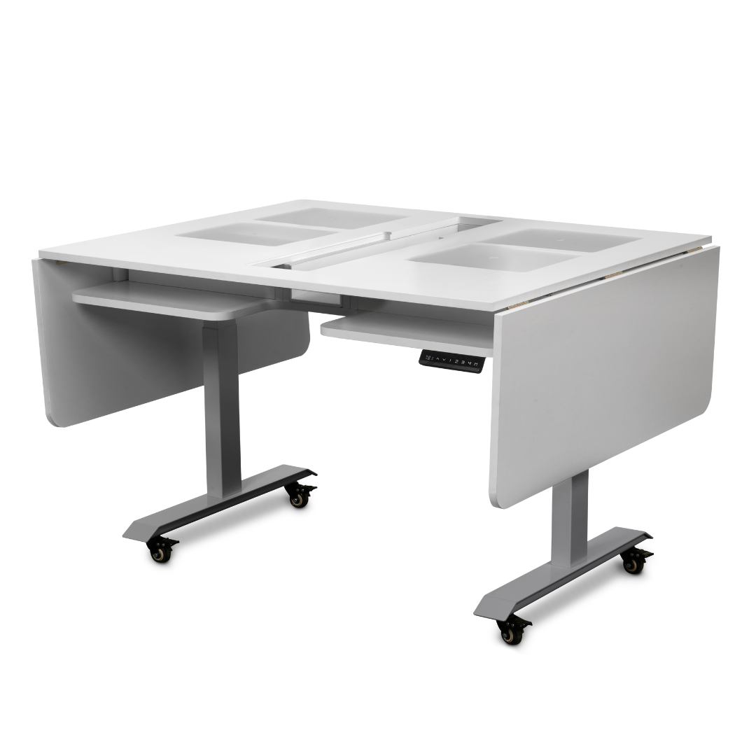 Bernina Q20 with Bernina Lift Table