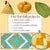 Sew Happy Box (Fall Edition) CLASS | Sacramento