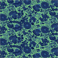 Sweet Talk Kim Sea Green