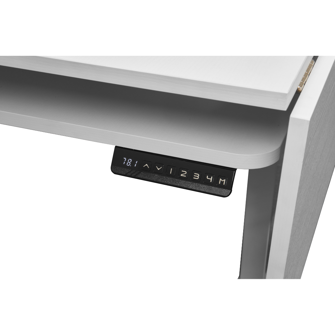 Bernina Q20 with Bernina Lift Table
