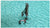 Baby Lock Free-MotionOpen Toe Quilting Foot (BL-FMO)