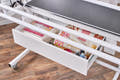 Baby Lock Maestro Long Arm Quilting Frame