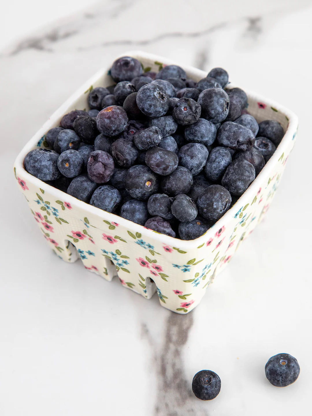 Ceramic Berry Colander - Meissner Sewing and Vacuum