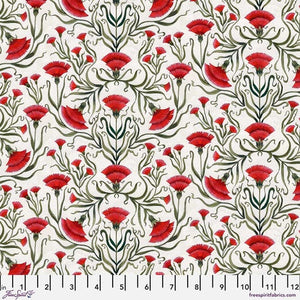 Carnation - White