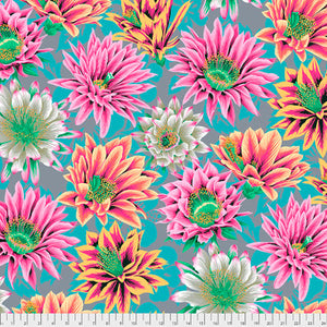 Kaffe Fassett Collective Classics Plus Cactus Flower - Tawny