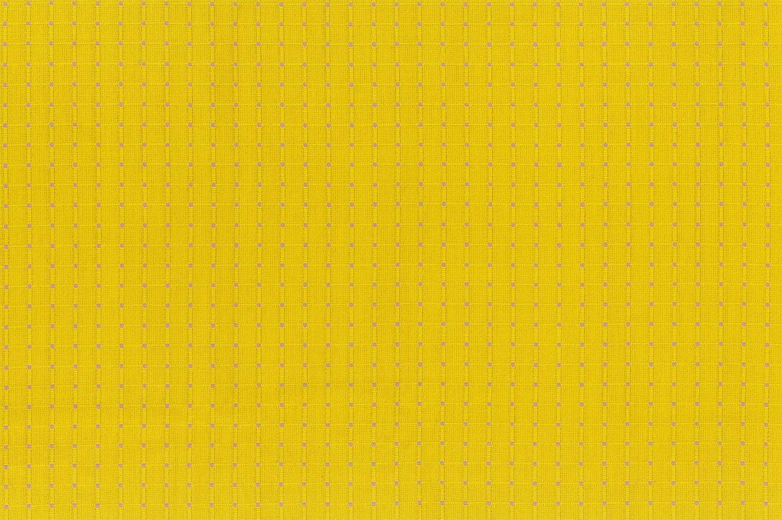 Garden Variety Dobby Zinnia