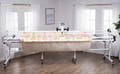 Baby Lock Maestro Long Arm 10' Quilting Frame