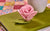 Baby Lock Radiance Upgrade Pre-order