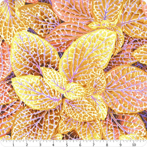 Kaffe Fassett Collective - Gold Fittonia