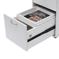 Adelaide Drawer Caddy Ash White