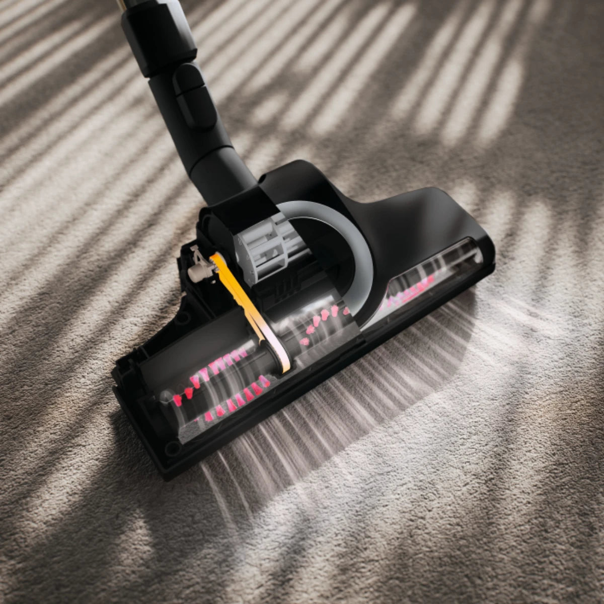 NEW! Miele Guard M1 Cat & Dog Vacuum Obsidian