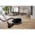 NEW! Miele Guard M1 Cat & Dog Vacuum Obsidian