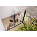 Miele Guard M1 Cat & Dog Vacuum Obsidian