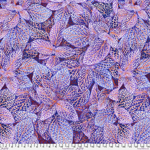 Kaffe Fassett Collective - Blue Fittonia