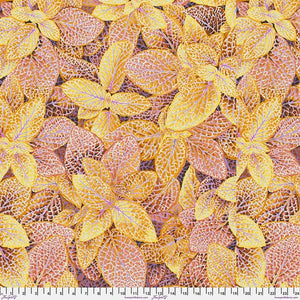 Kaffe Fassett Collective - Gold Fittonia