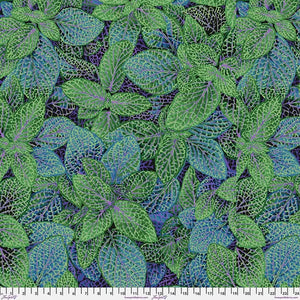 Kaffe Fassett Collective - Green Fittonia