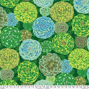 Kaffe Fassett Collective - Green Japonica