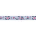 What a Ditz in Frost 5/8" Ribbon